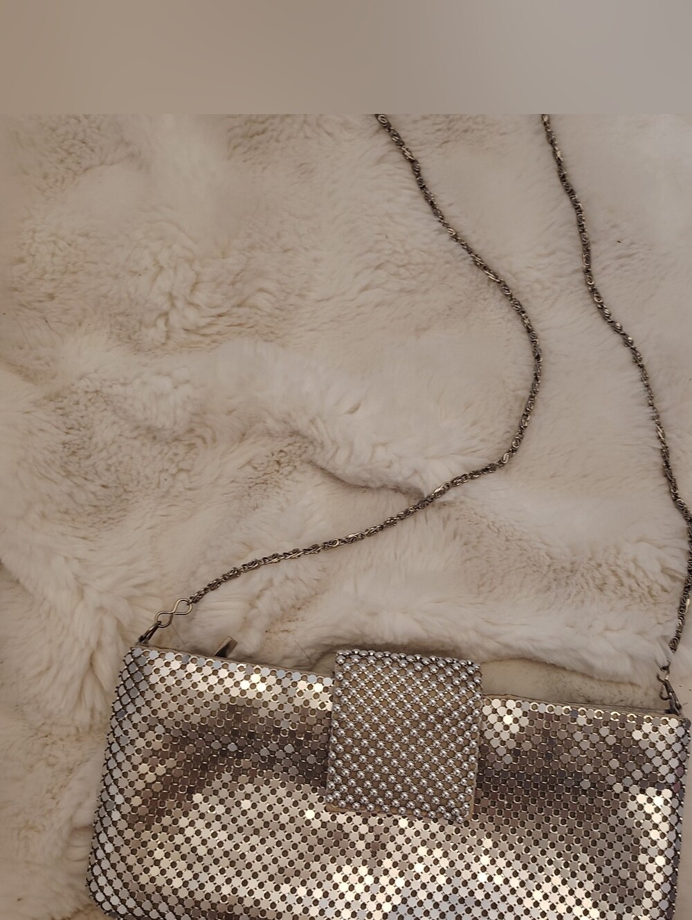 Aluminum Silver Clutch - Picture 2 of 11
